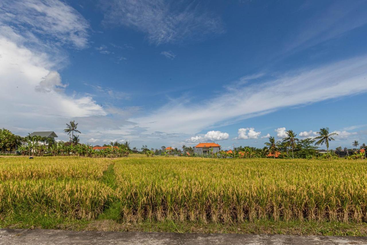D'jineng Rice Terrace Bungalow Canggu  Bagian luar foto